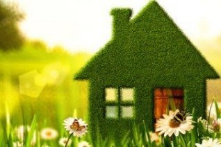 green house in field